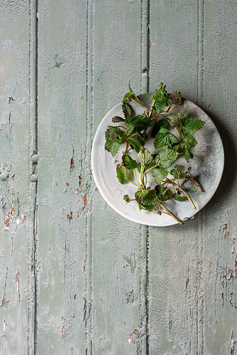 fond photo en bois vert olive, menthe, effet vieille porte verte avec détails anciens, pour photographie culinaire et stylisme photo. fond photo pastryandtravel, tout droit réservé