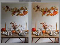 preset pour photographie avec lightroom, retouche photo 