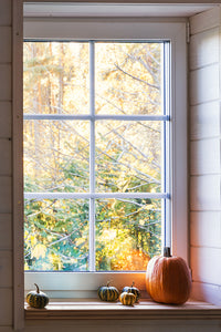 fond photo automne avec une fenetre sur la nature orange pour photographie