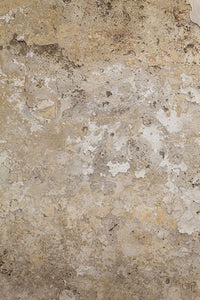 fondphoto-berlin béton beige rustique usé pour photographie culinaire et studio photo pro