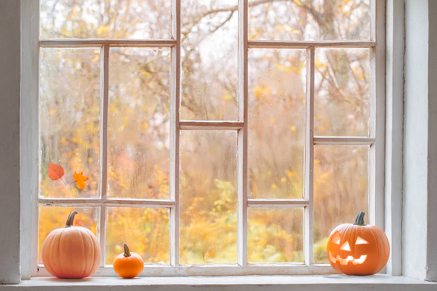 fond photo automne fenêtre citrouilles feuilles orange