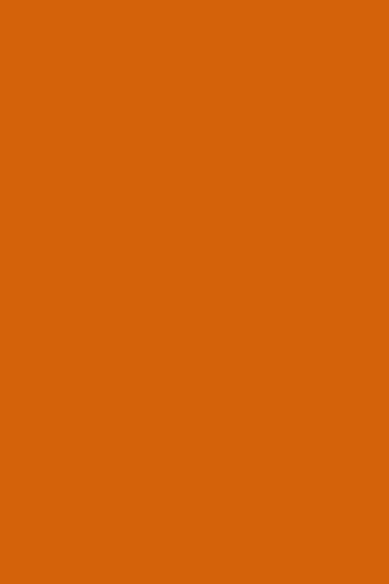 fond photo orange uni pumpkin spices automne citrouille