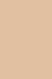 fond photo beige uni xxl pour studio photo professionnel, photo portrait, meubles, artisanat, couture, sac grand format