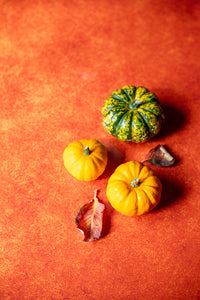 fond photo orange pour halloween et l'automne en photographie