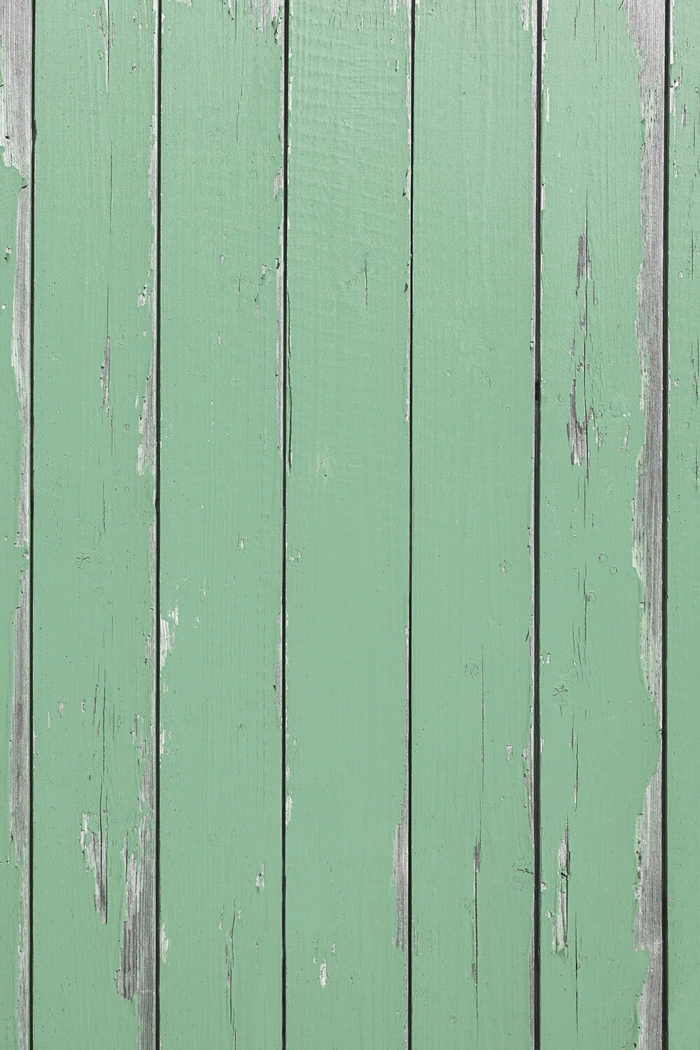 fond photo bois sauge ancien effet cottage core pour photographie printemps