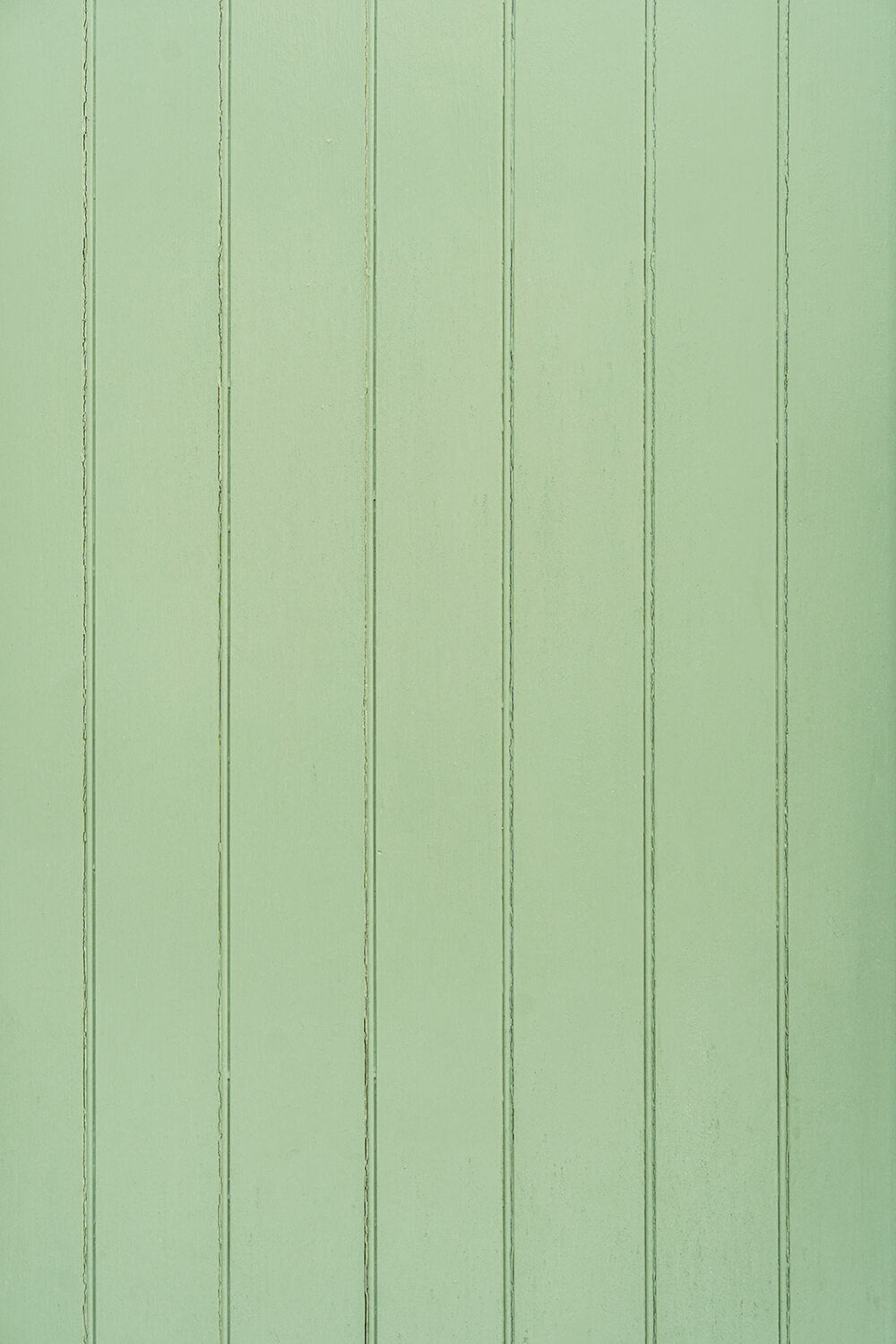 fond photo vert pale sauge, effet cottage bridgerton, printemps