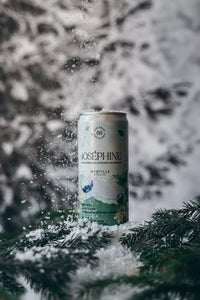 fond photo sapin enneigé et foret de sapin dans la neige pour photographie produit, hiver, fêtes de fin d'années. artisanat, photographie