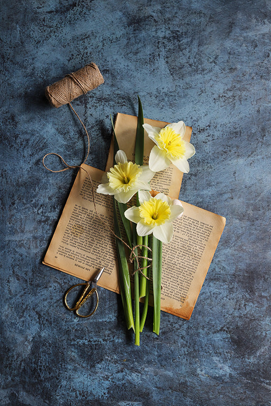 fond photo  bleu pour photographie culinaire