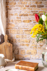 fond photo pierre beige de provence ppur photographie rustique, chic, printanniere 