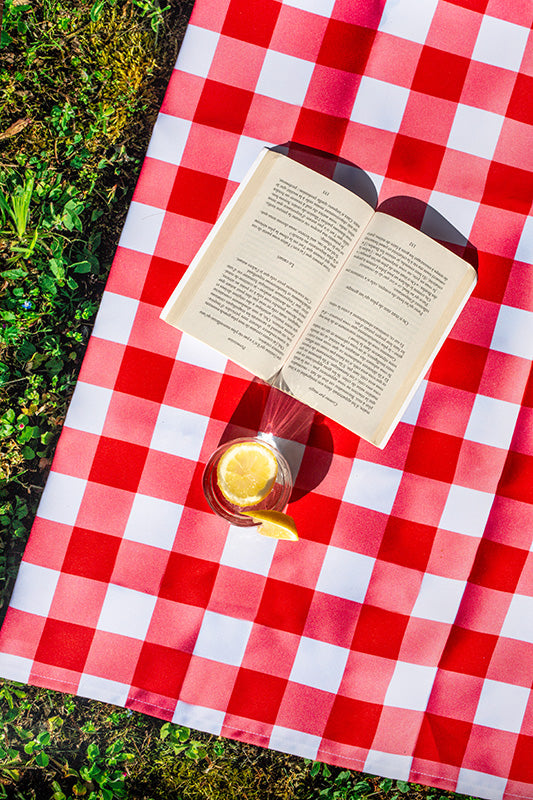 fond photo effet nappe de pique nique vichy rouge avec l'herbe et ombre du soleil, fond photo estival, été, pour photographie culinaire, livre, produit, artisanat