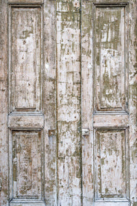NEW! Danish Old Door