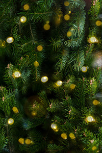 fond photo sapin de noel effet flou avec guirlandes déjà floues