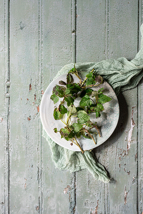 fond photo en bois vert olive, menthe, effet vieille porte verte avec détails anciens, pour photographie culinaire et stylisme photo. fond photo pastryandtravel, tout droit réservé