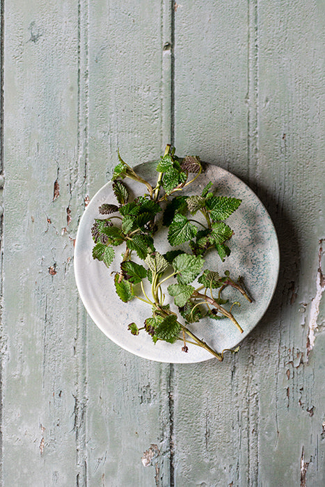 fond photo en bois vert olive, menthe, effet vieille porte verte avec détails anciens, pour photographie culinaire et stylisme photo. fond photo pastryandtravel, tout droit réservé